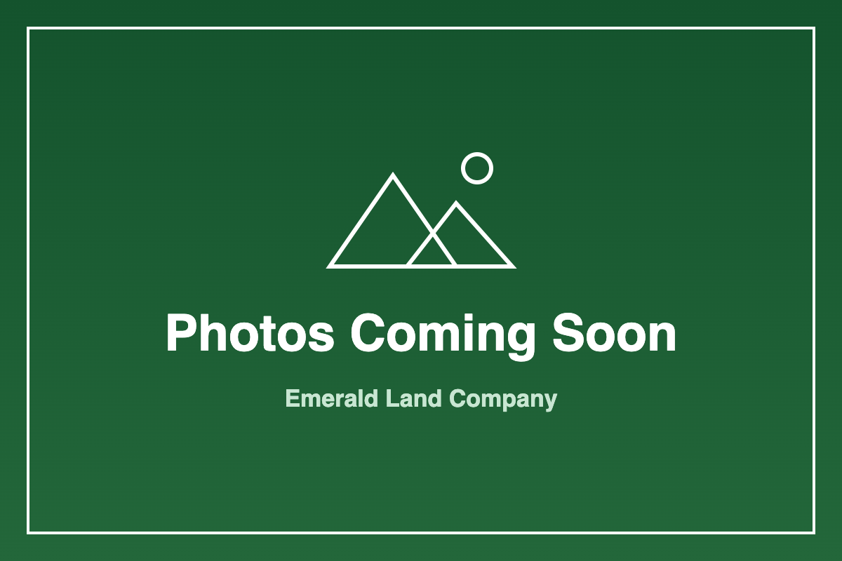 Photos coming soon